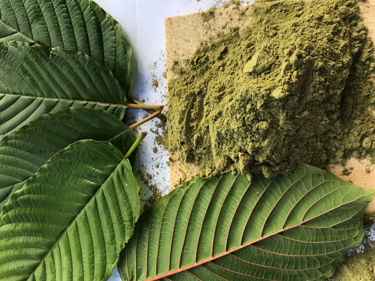 kratom_a_versitile_plants
