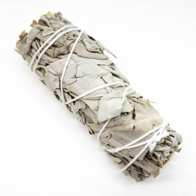 Dried Salvia Apiana